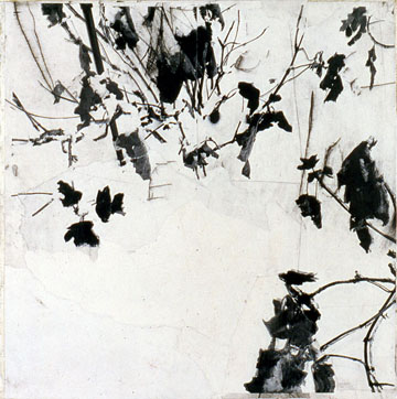flowers2010_24.jpg