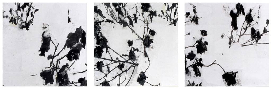 gary_weidner_flowers.jpg